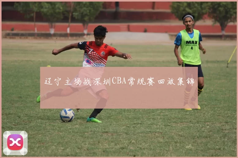 辽宁主场战深圳CBA常规赛回放集锦