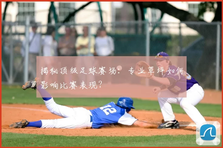 揭秘顶级足球赛场：专业草坪如何影响比赛表现？