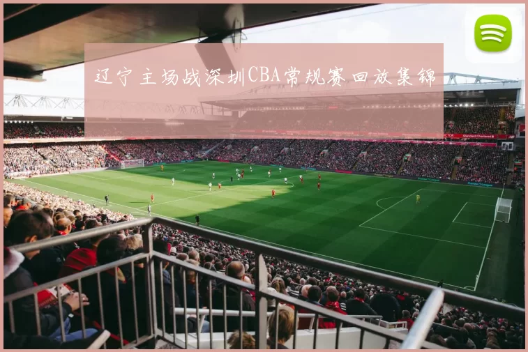 辽宁主场战深圳CBA常规赛回放集锦