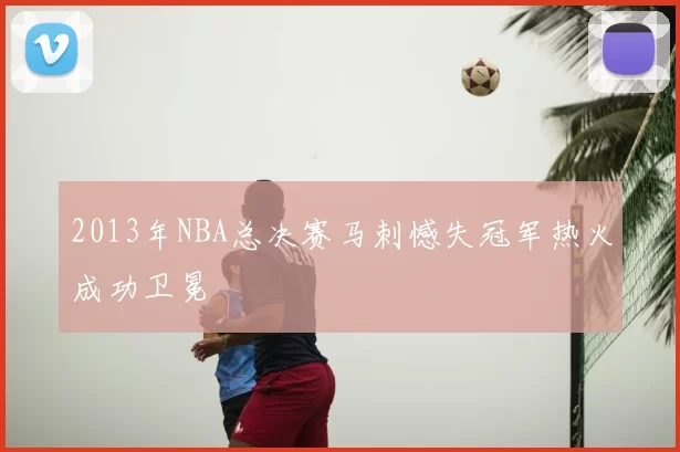 2013年NBA总决赛马刺憾失冠军热火成功卫冕