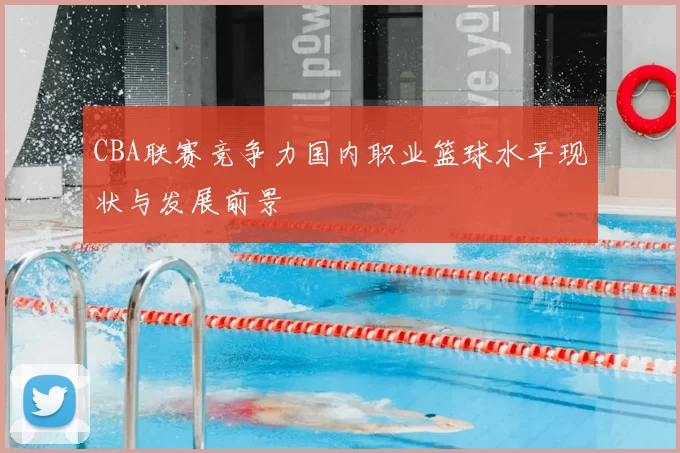CBA联赛竞争力国内职业篮球水平现状与发展前景