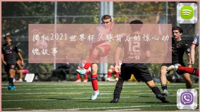 揭秘2021世界杯买球背后的惊心动魄故事