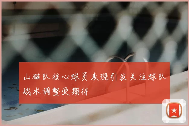 山猫队核心球员表现引发关注球队战术调整受期待