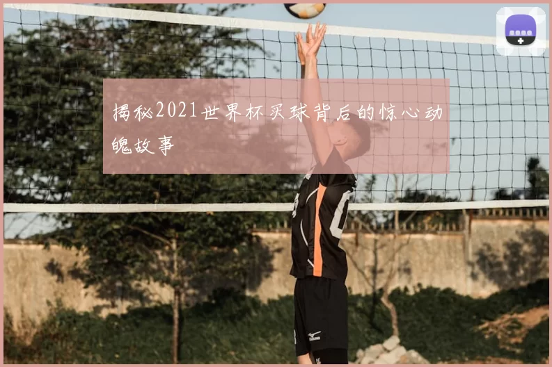 揭秘2021世界杯买球背后的惊心动魄故事