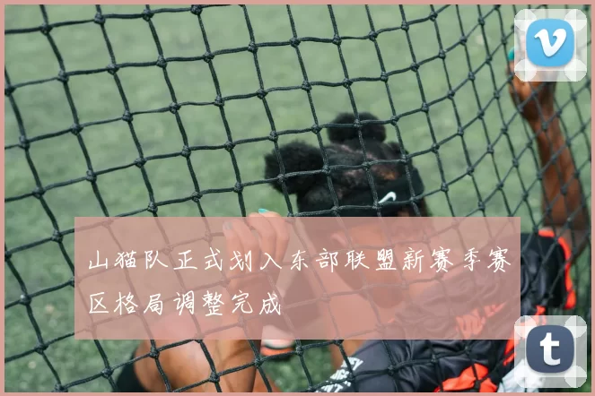 山猫队正式划入东部联盟新赛季赛区格局调整完成